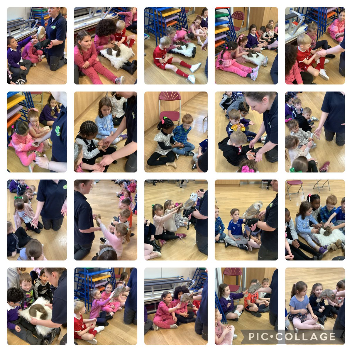 Class 1 absolutely loved their session with @AnimalsTakeOver this morning! 🐌🦎🦉🐉 #StGerardsScience