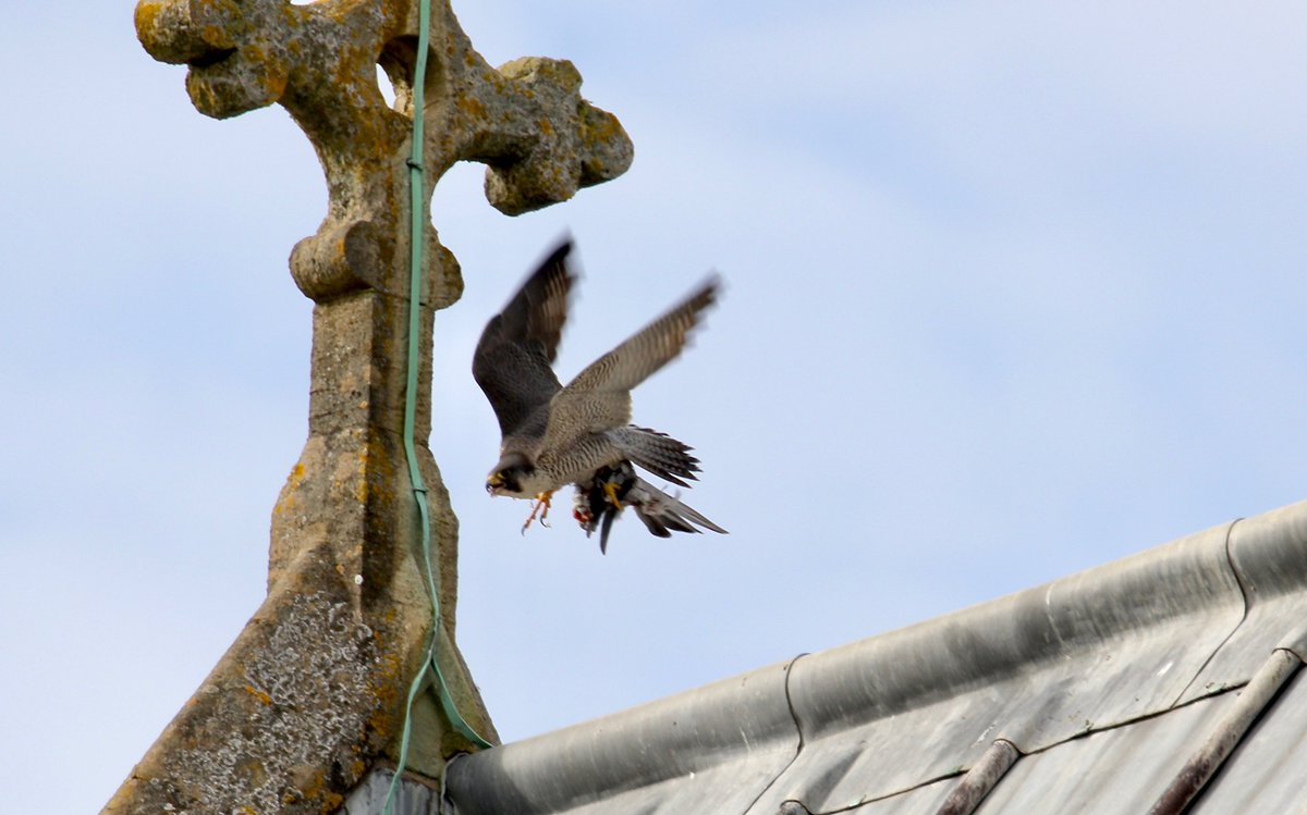 romseyabbey tweet picture