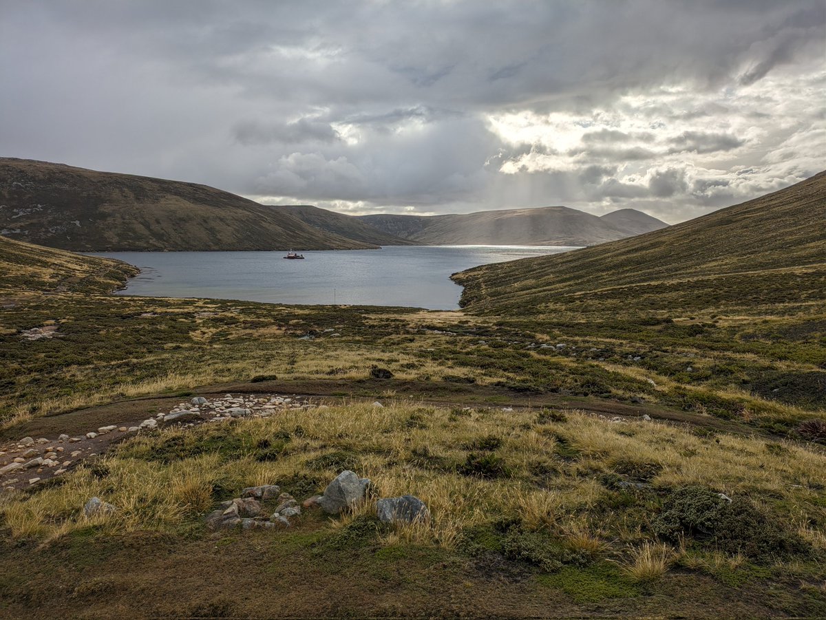 Jamie McIlroy tweet media