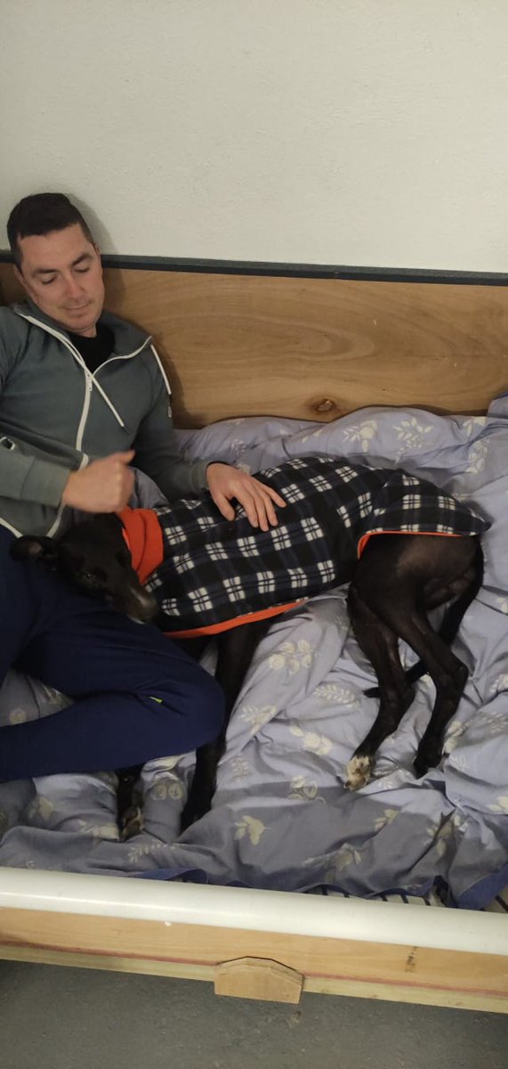 Heartbroken to discover this week that Explosive Boy is in China. Bertie was the kindest and most affectionate dog. His owners (who we no longer train for) took him from us in Oct 2022.  Unfortunately he may never now get his happy ever after. We'll never forget you Bert 💔