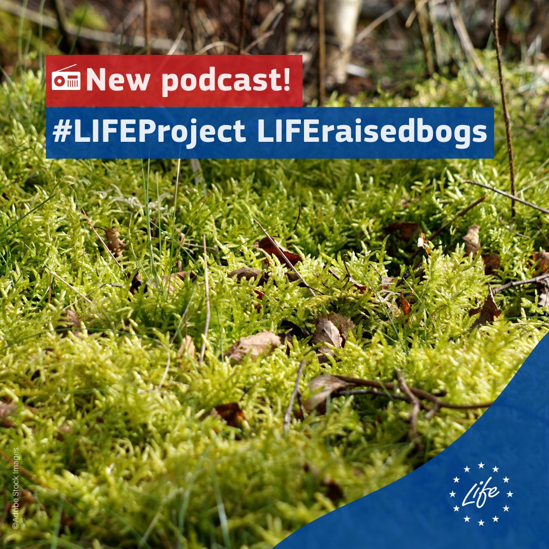 #LIFEProject Raised bogs has a new podcast📻

Turn up the volume &amp; learn about their efforts to restore #Peatlands and protect #Natura2000 sites in Denmark🇩🇰

🤠Happy weekend: bit.ly/3PvbdIn