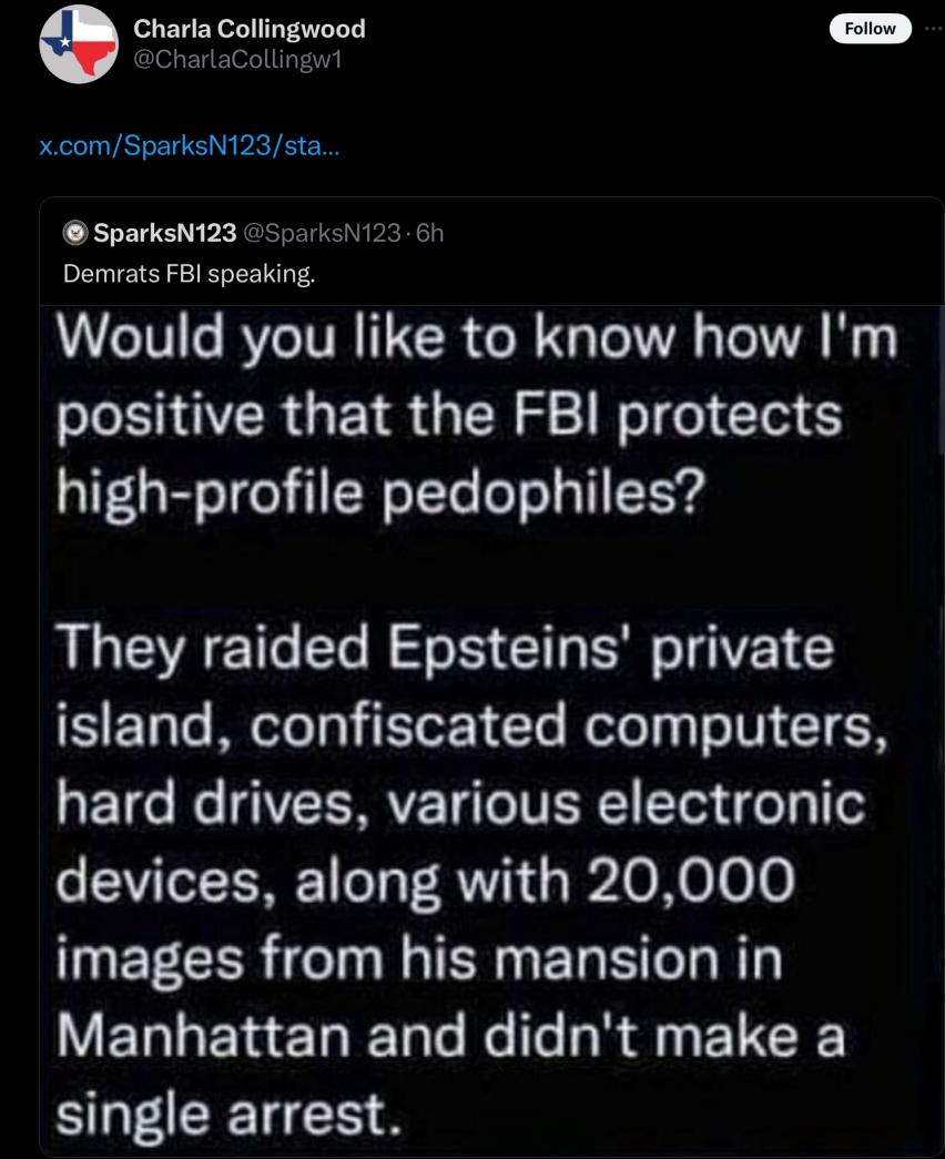 THERE IS NO OTHER POSSIBLE CONCLUSION - THE FBI IS PROTECTING THE PEDOPHILES WHO WENT TO EPSTEIN ISLAND..... It's not rocket science. Of course, the pedophiles are being protected and Maxwell is in prison for giving access to children by adults but there's nothing to see here…