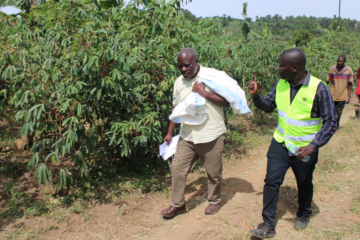 The Parliamentary committee on Environment & Natural resources yesterday inspected the ongoing irrigation projects in Mityebiri & Lwankoni respectively. They urged farmers to make sure they maintain the schemes to yield more harvests. @MAAIF_Uganda