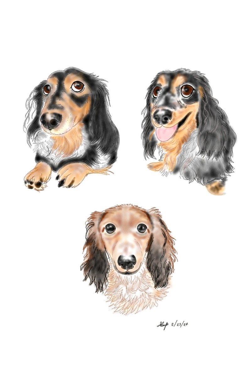 bouncebckbelle's tweet photo. Such a pleasure to do a digital illustration of Heta, Sylvi and Peppi-- three super adorable sausage dogs of a fellow #FoTS. The printed copy is now on its way to Finland! โค๏ธ
I'm available for commissions. Send me a message for any inquiries. ๐ #MarjDrawsDogs #MarjDrawsPets https://t.co/9vX91XTDlk