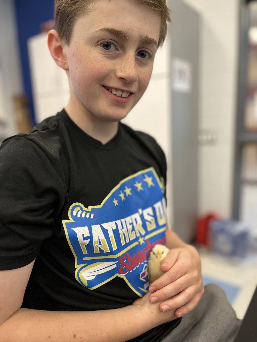 Ms. Phan tweet media