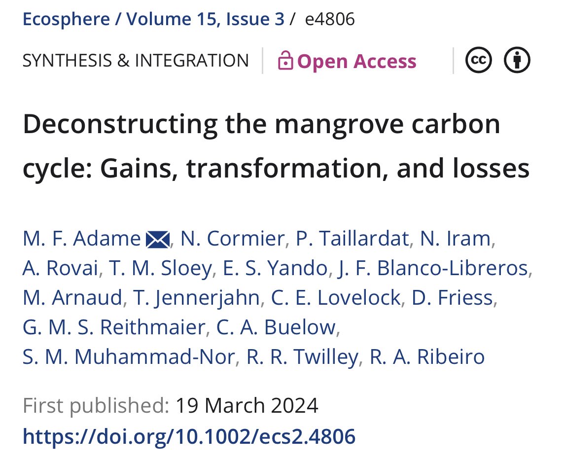 Latest summary of what we know about the global 🌏mangrove carbon cycle! 🌿🍃🦀 Click here for free access: esajournals.onlinelibrary.wiley.com/doi/10.1002/ec… Led by @fern_adame with an awesome group of early career and established researchers