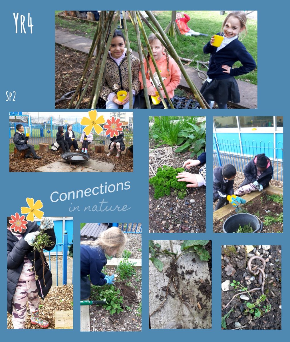 🌳Such a busy week for Forest School @ChivenorP Raised beds cleared✅ plants & insects identified ✅worms compared & counted✅hot chocolate & relaxing with friends ✅sense of achievement gained ✅memories made✅ Thanks for a great term Yr3&4, you've been amazing 🤩