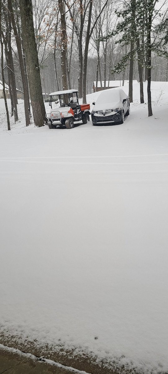 Springtime in Michigan ❄️💙