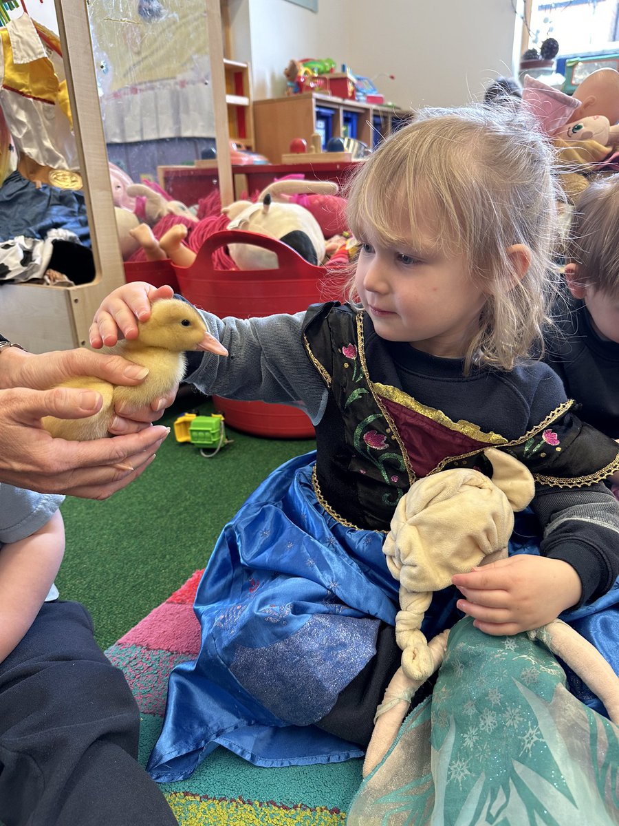 Upton Pre-Nursery (@uptonprenursery) on Twitter photo A lovely week filled with lots of lovely Easter activities in Pre-Nursery! Egg hunts and duckling visits and lots of fun!
What a great way to end the term.
<a href="/UptonHead/">Rhian Thornton</a>
#Easter2024
#PreNursery A lovely week filled with lots of lovely Easter activities in Pre-Nursery! Egg hunts and duckling visits and lots of fun!
What a great way to end the term.
<a href="/UptonHead/">Rhian Thornton</a>
#Easter2024
#PreNursery