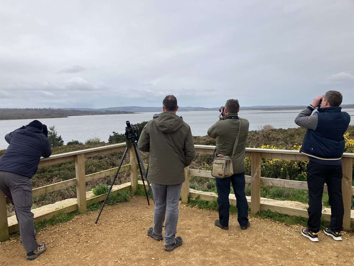A privilege to show the @ukwildlifecrime team the Poole Harbour White-tailed Eagles giving us an opportunity to talk about bird of prey protection, persecution, wildlife crime and how to support each others work moving forward. @timmackrill @SeaEagleEngland @DorsetBirdClub