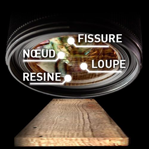 Integral System tweet media