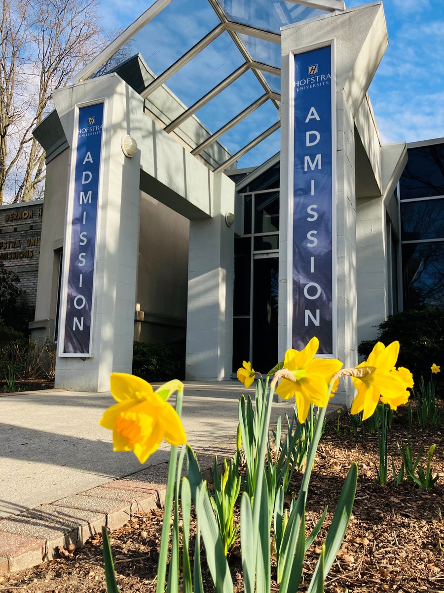 Happy #flowerfriday, @HofstraU! #Hofviews #Hofstra #Flowers #BernonHall