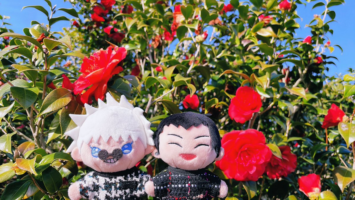 九々璃🩵ྀི💛ྀི⁵⁷² tweet media