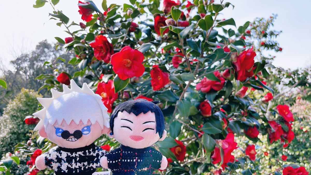 九々璃🩵ྀི💛ྀི⁵⁷² tweet media