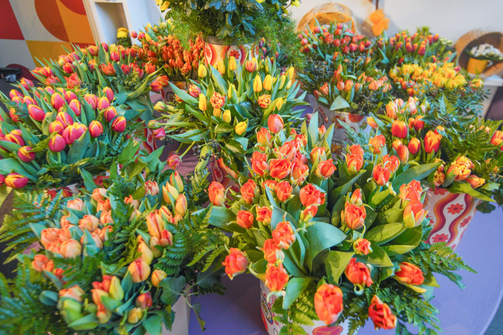 This week in Keukenhof: a surprising indoor Tulip and Hyacinth Show. Spring starts with the scents of hyacinths and the beauty of early tulips.