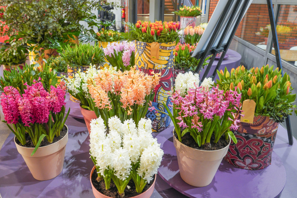 Keukenhof tweet media