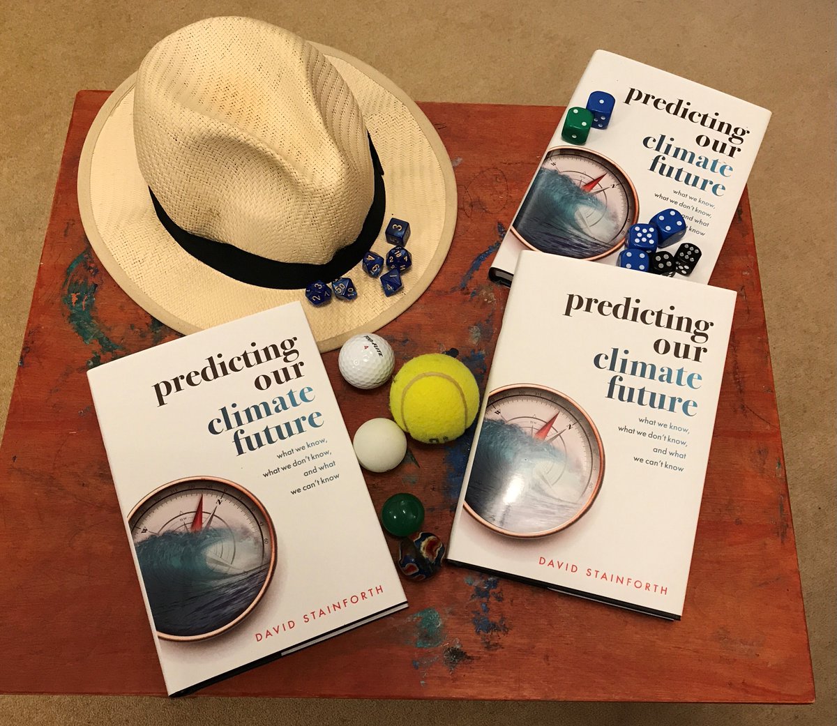 David Stainforth tweet media