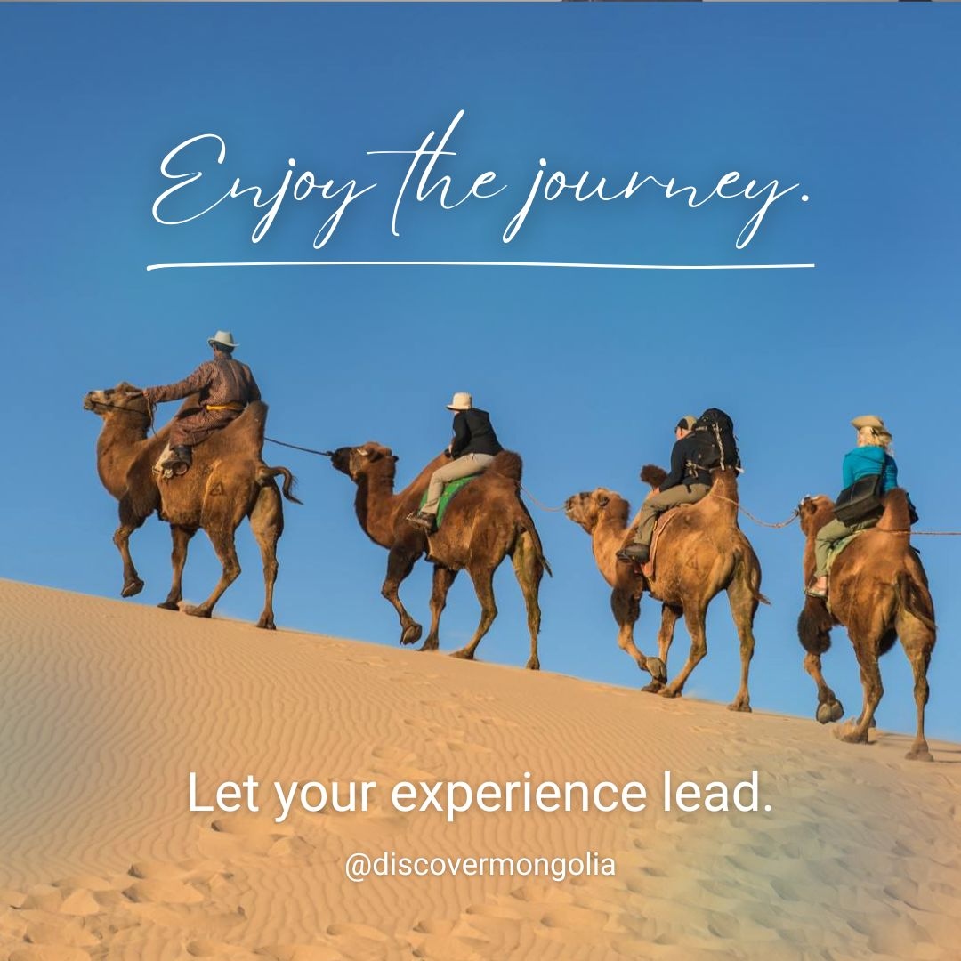 Fun, unique, and scenic! 🐪 Experience Mongolia's landscapes from a new perspective with these gentle giants. 

 #discovermongolia, #Mongolia #Nomadiclife #Mongolianculture
