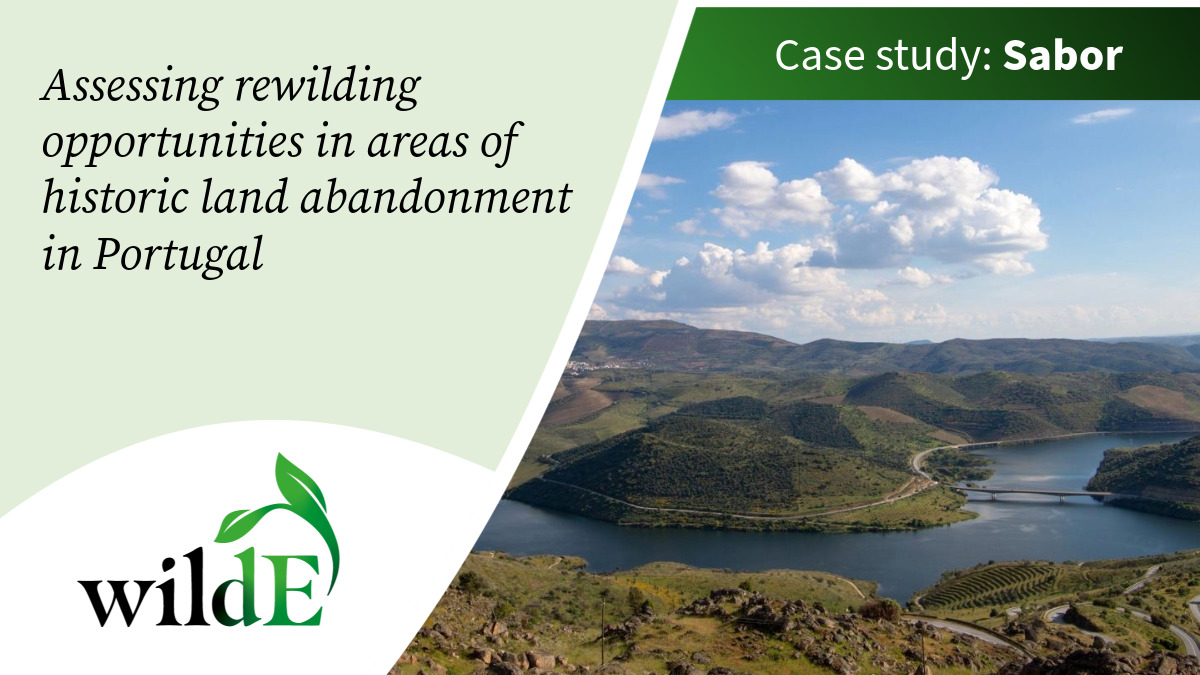 The Sabor case study, managed by @CIBIO_InBIO, aims to address challenges including the reversion of turning previously abandoned areas into agriculture through the expansion of permanent crops. Read more: wilde-project.eu/case-studies-s…