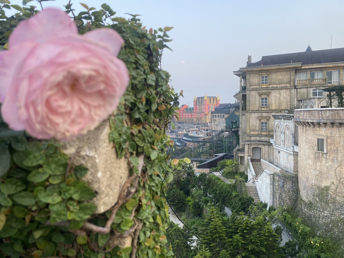 SP_TFCollection's tweet photo. Discovering new and wonderful places thanks to @TravelSwap_xyz @sw_banahills #digitalnomad #crypto #sunworld https://t.co/lOA2DKLXGL