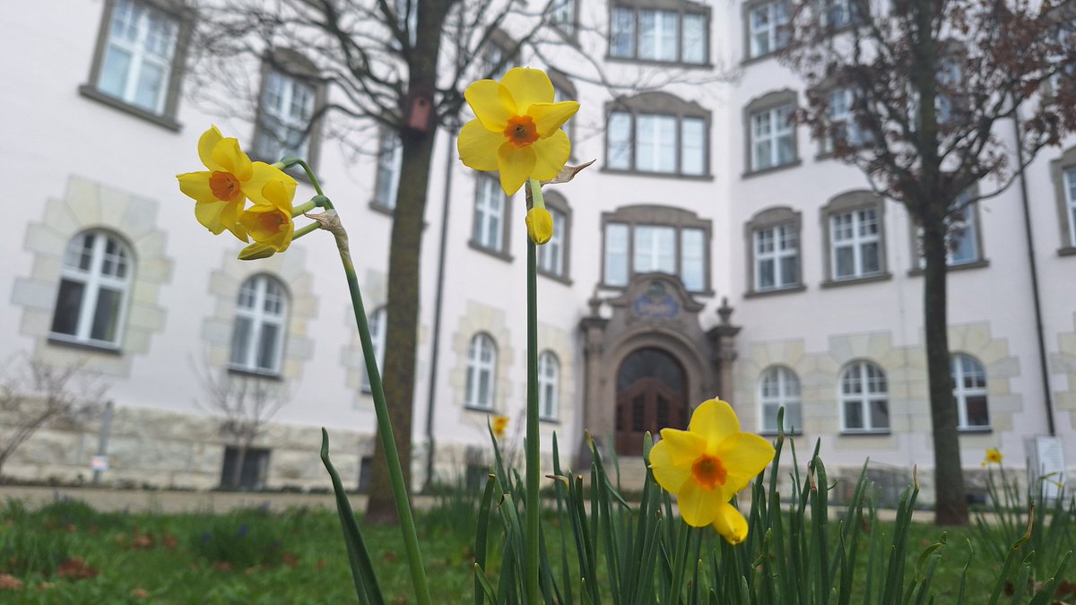 Schöne Feiertage und erholsame #Osterferien🐰🪻🪺wünscht das Team der @Stabsstelle_ALP allen Lehrkräften, Referentinnen und Referenten sowie Followern. Ab 8.4. sind wir mit frischen Ideen wieder für euch da. #twlz #BayernEdu #BdB @ISB_Bayern @mebis_bayern @lz_bayern @KM_Bayern