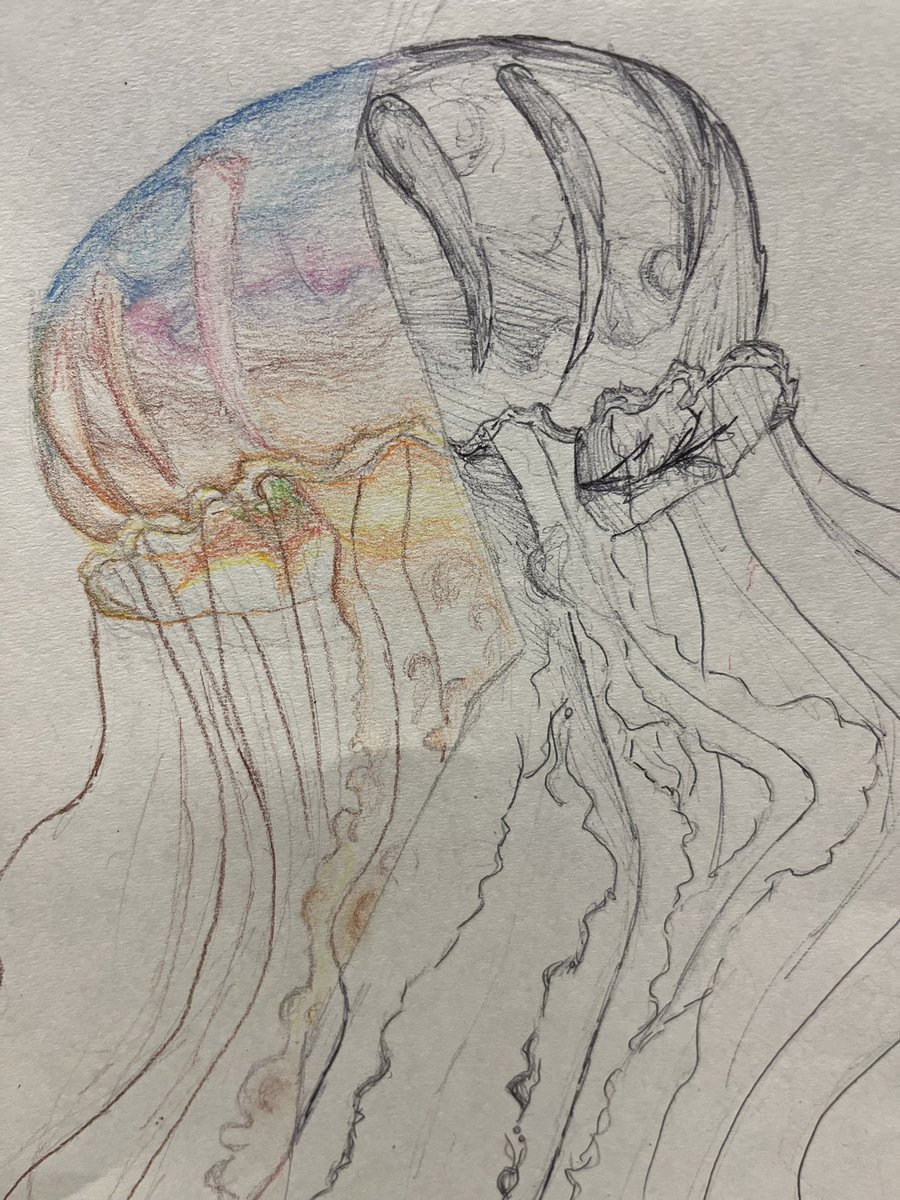Year 8 natural form exam in progress. Fantastic starting points by the year 8s to create mixed media jelly fish drawings. <a href="/StMarysCEHigh/">St Mary's CE High School, Cheshunt</a>