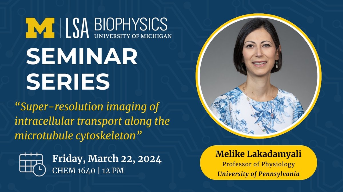 Today's #MichiganBiophysics Seminar Speaker is Melike Lakadamyali from University of Pennsylvania. ⏰ When: Today, 12pm 📍 Where: CHEM 1640