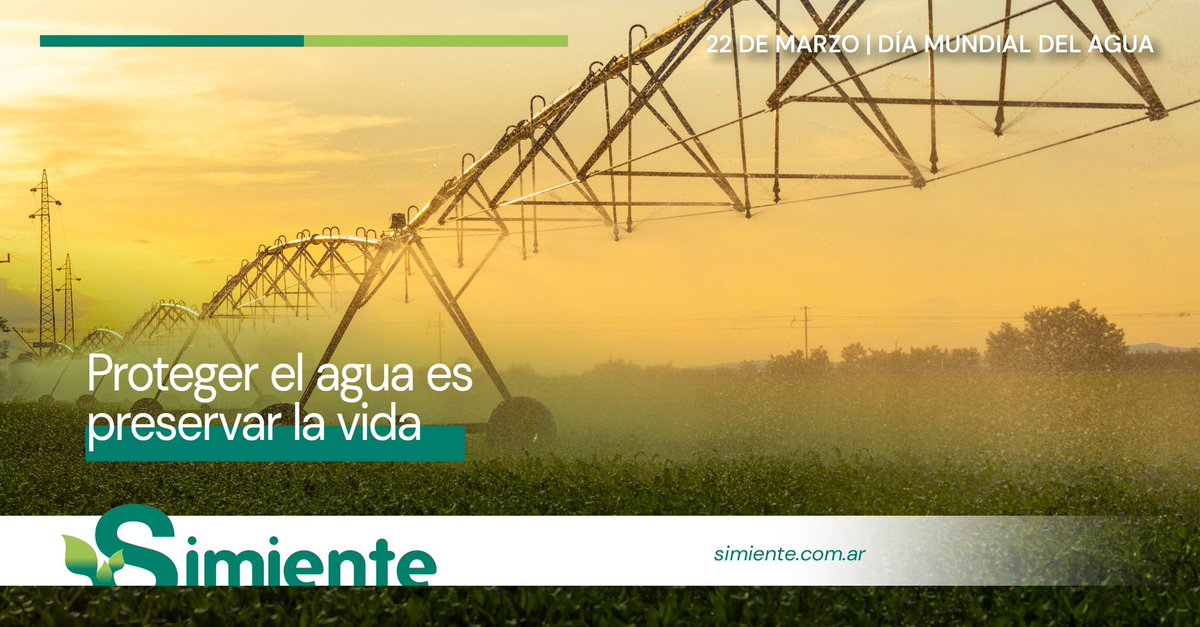 SIMIENTE_SA tweet media