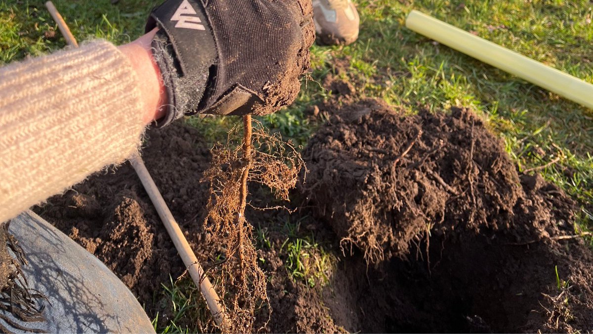 Calling everyone who wants to help us boost nature!🌳

Join us as we plant 950 hedgerows at two of King’s sports grounds!

☀️5 of April at Honor Oak Sports Grounds, 11:00 – 16:00
☀️12 of April at New Malden Sports grounds, 10:00 – 18:00