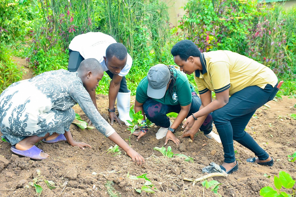 WGYB_NGO's tweet photo. 2/2: We invite you to join and support our Green Generation EcoEducation, #GGEE, initiative &plant trees with us. Your contribution is vital as we work together to address the impacts of climate change.
#TakeClimateActionNow
@MyZeroCarbon @MujaJeanne @dkarusisi @BelenCalvoEU https://t.co/6Fm7C0eKBf