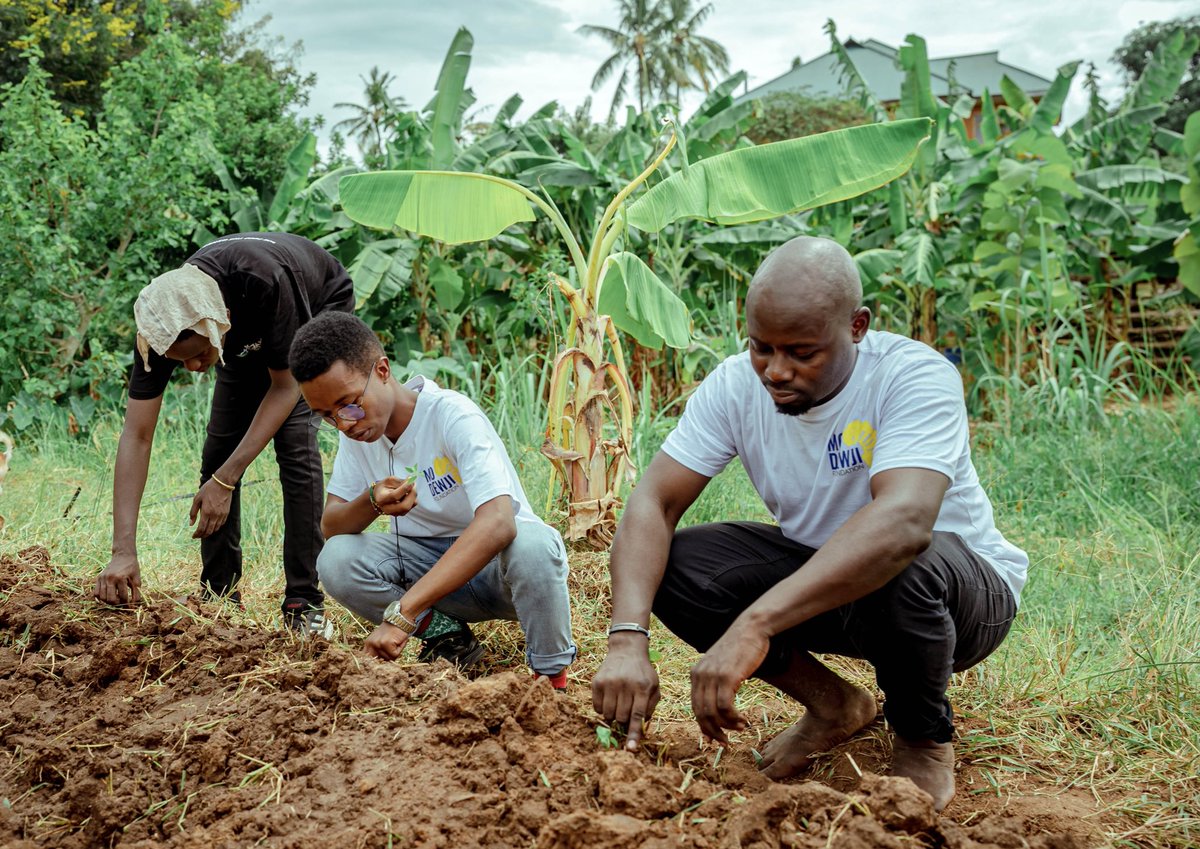 YIA_Tanzania's tweet photo. Pata ufahamu wa jinsi washiriki walivyojifunza kufanya kilimo hai kwa vitendo na mambo mengine mengi.

Je, unafikiri kilimo hai kinaweza kuwa suluhisho la changamoto gani zinazozikumba jamii yetu kwa sasa au baadae? Tuambie maoni yako 

Cc @KijanaFactory @DewjiFoundation https://t.co/AUKF5sEukZ
