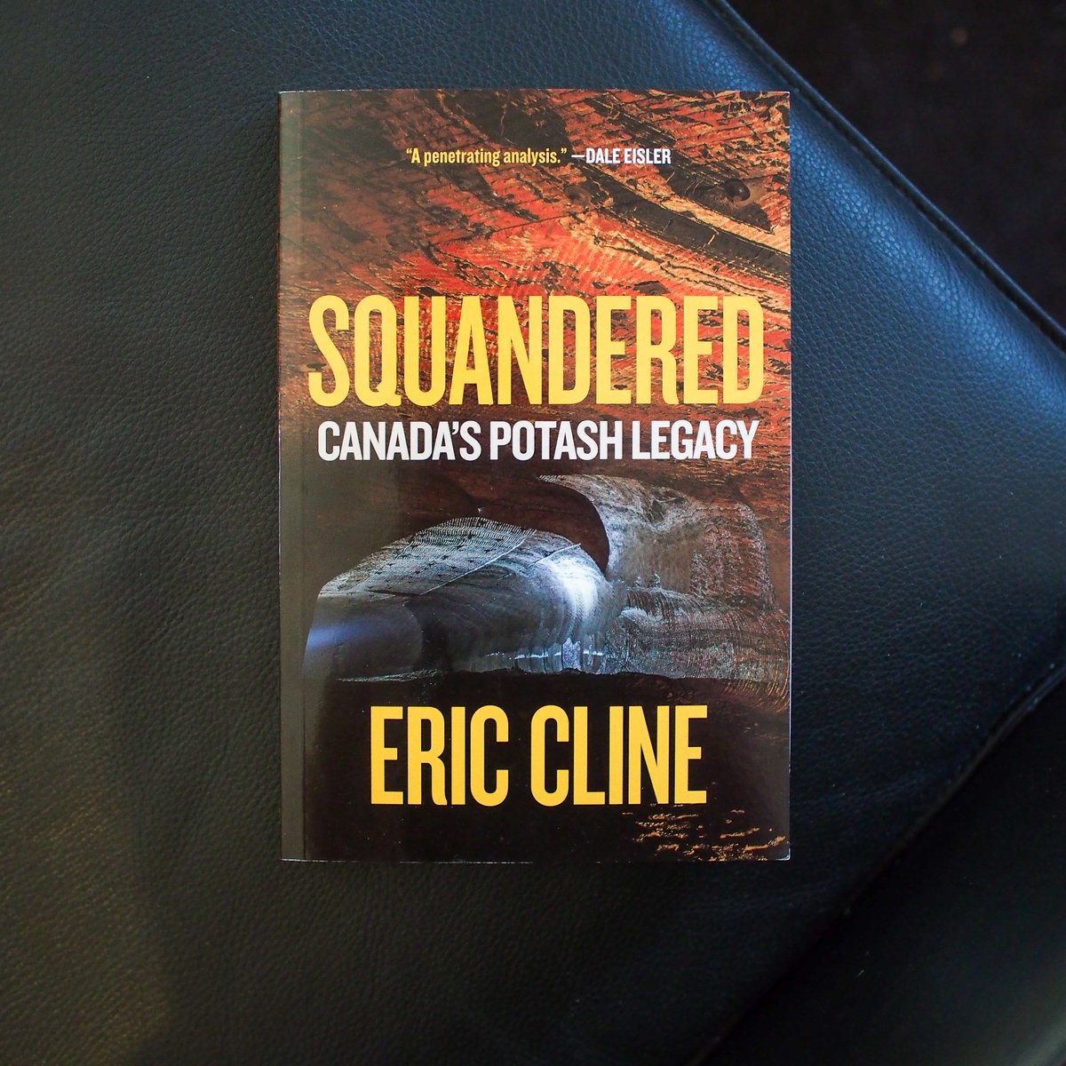 Eric Cline, author of SQUANDERED, discussed SK's abundance of potash and whether the public is getting a good return on its resources with @SLangeneggerCBC : cbc.ca/listen/live-ra…