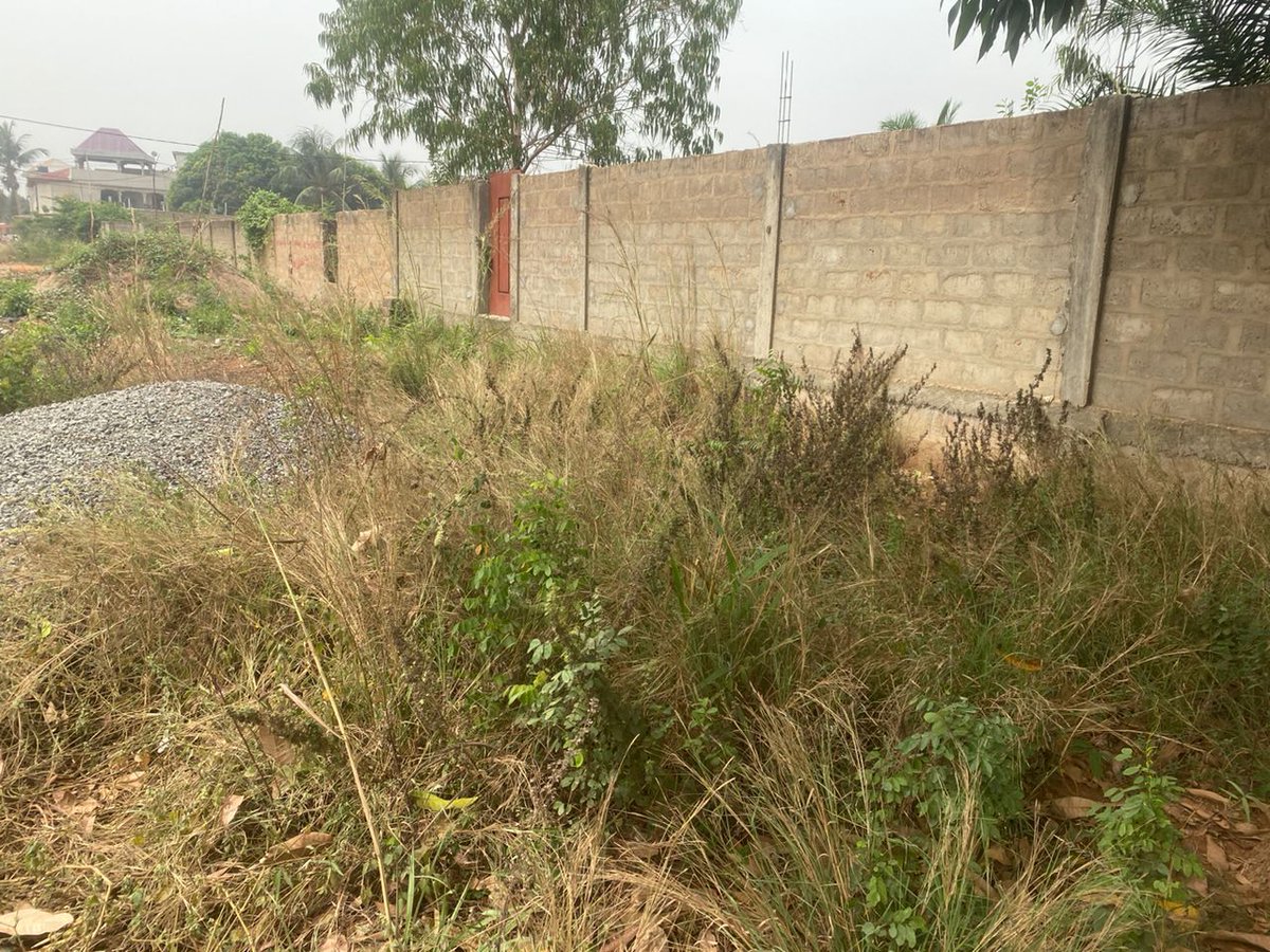 immoask's tweet photo. 2- Discover our land with personal land title. Learn more at 

#immobiliertogo #terrainavendre #friday #immoasktogo #investissementimmo #emplacementsstratégiqueslomé 

https://t.co/qJpb5cwrZS https://t.co/ZuFhyQ82Yl