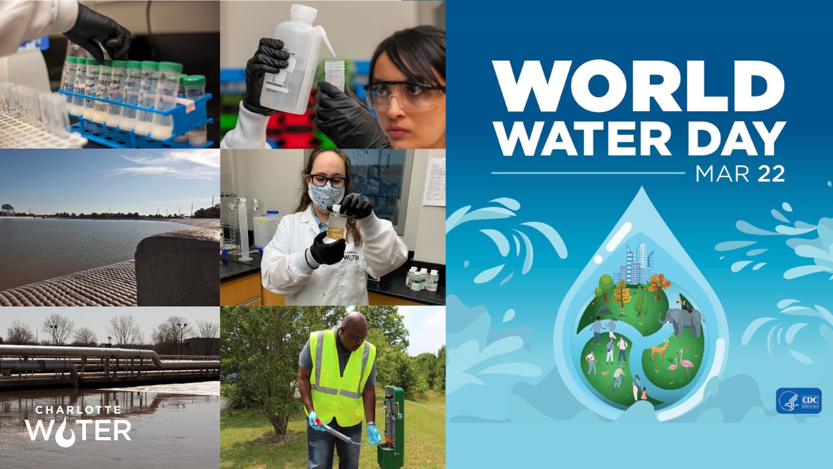 Charlotte Water💧 tweet media