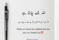 dispatch_quick's tweet photo. @MS_Ramy14 Allah Akbar https://t.co/kzzdU7I2Co
