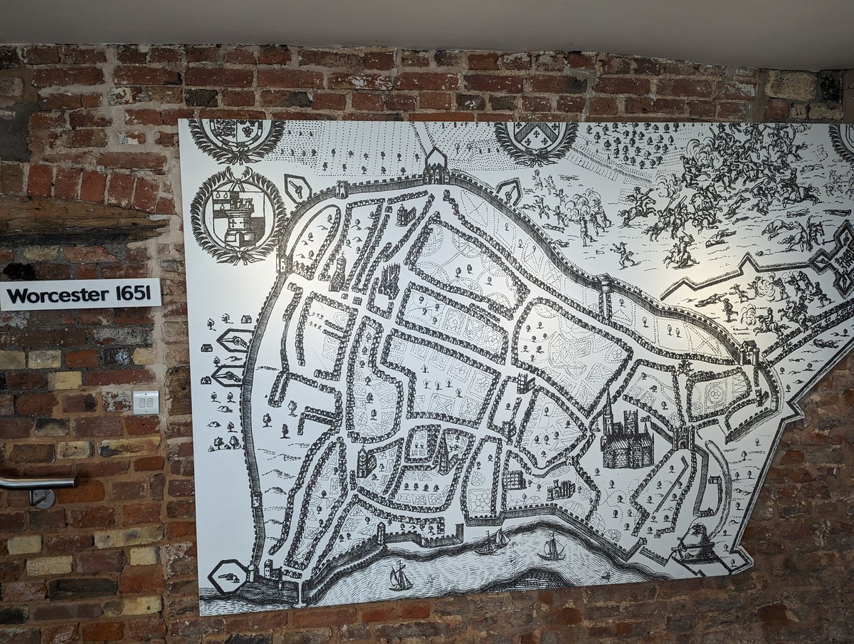 Niamh Dolly Fitzpatrick tweet media