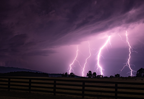 FWC senior Sydney Haney won two awards for photography at the SE Section of the Wildlife Society's Undergraduate Wildlife Conclave last weekend. She won first place in On-site Field Photography for her salamander picture, and second place in landscape with her lightning photo.