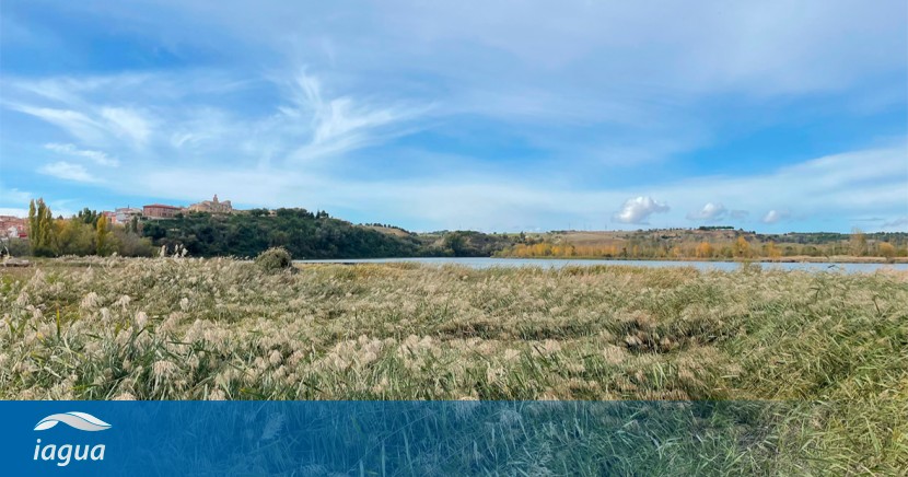 El MAPA realiza obras de modernización de regadíos por valor de 5,39 M€ en Castronuño, Valladolid dlvr.it/T4SFl8