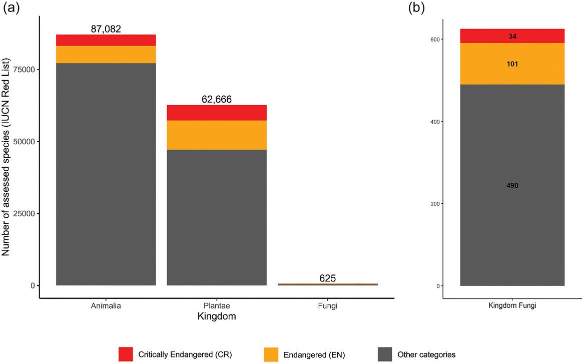 🚨New paper in @ConLetters: A call for professional mycologists to engage with #citizenscientists to inform @IUCNRedList assessments and advance #fungalconservation. doi.org/10.1111/conl.1…