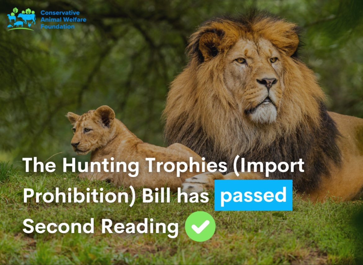 Despite media reports that MPs have broken up for Easter , I was delighted to be in Parliament today to support and vote for the Hunting Trophies bill to ban the imports of animal parts killed for sport, into the UK