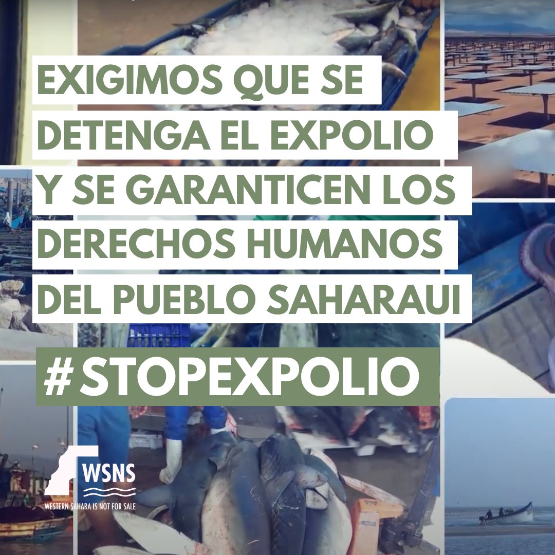 Western Sahara is not for sale | #WSNS tweet media