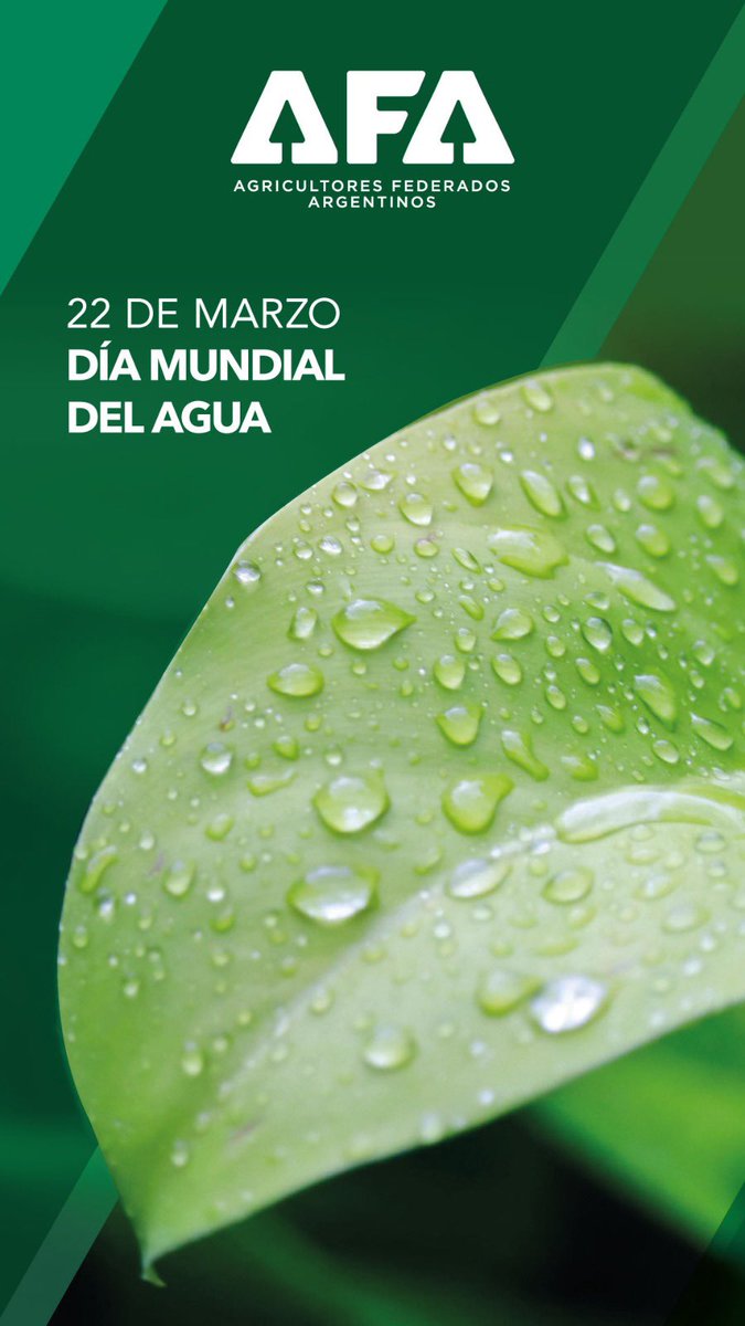 AFASCL's tweet photo. 22 de Marzo | Día Mundial del Agua
#AFASCL #DiamundialdelAgua https://t.co/svhjDDNzKz