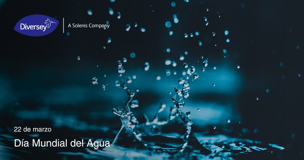 💧 En el Día Mundial del Agua, recordamos el valor de este recurso vital. En Diversey - A Solenis Company, estamos comprometidos con la sostenibilidad y con el uso responsable del agua, contribuyendo así a un futuro más sostenible para todos.

diversey.com.es/es