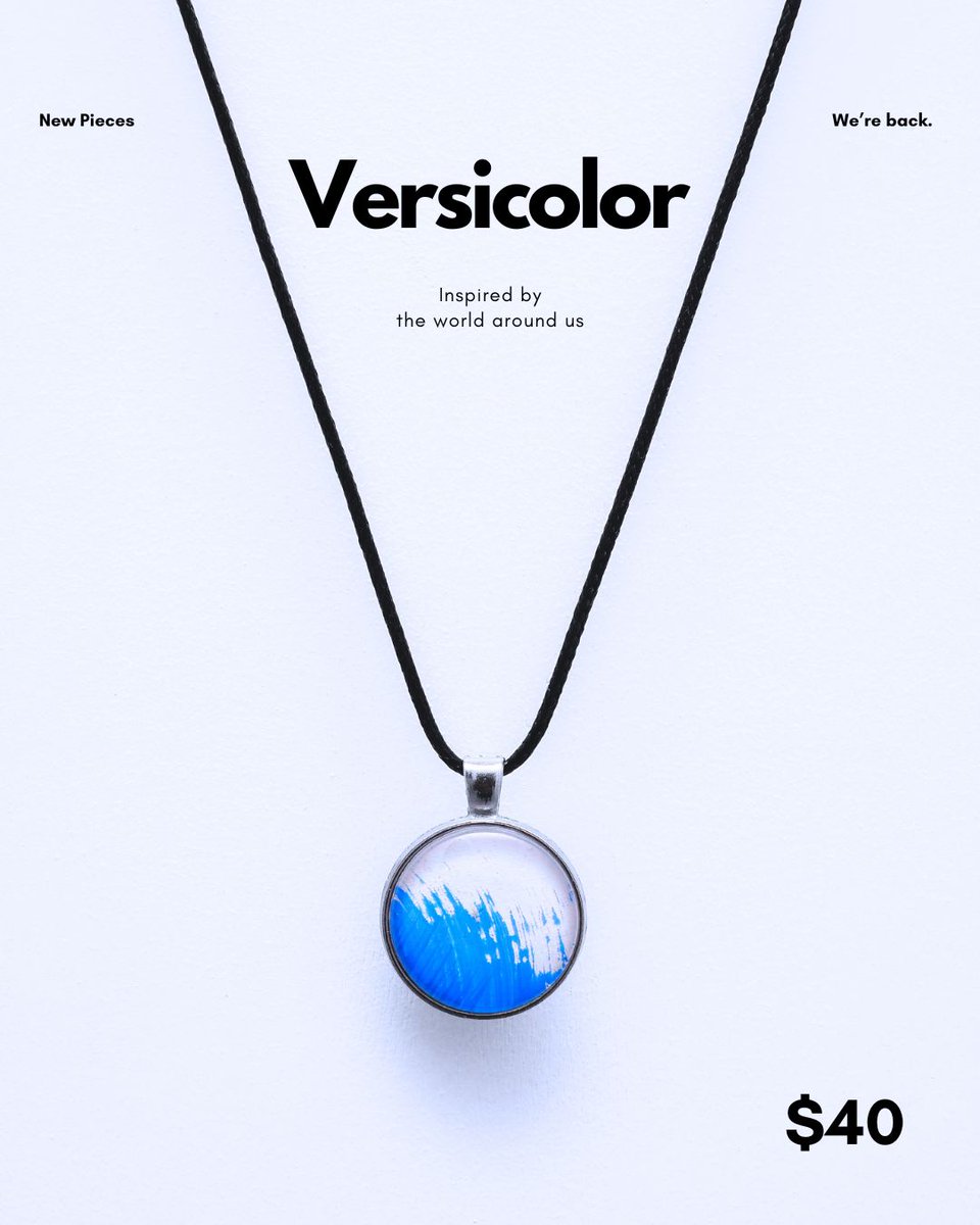 Versicolor758's tweet photo. https://t.co/rCK5EG54i1