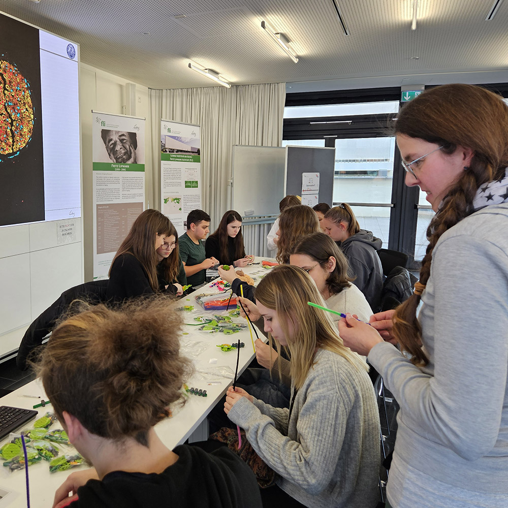 🤗We're pleased to be able to give over 70 secondary school students interested in #biology an insight into stem cell research today at the international @UniStemDay2024 in lectures, film screenings and at experience stations. @waskowlab #agingresearch #healthyaging #stemcells