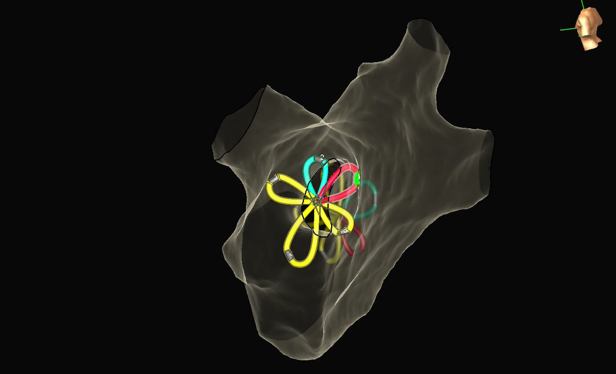 Amin Al-Ahmad, MD tweet media