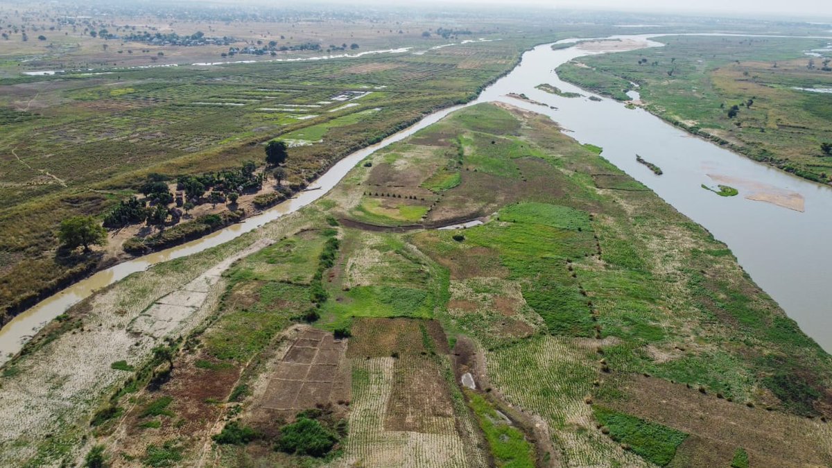 AdamawaAcresal's tweet photo. Exciting News from Adamawa ACReSAL!

We're thrilled to announce that the next phase of our journey towards sustainable agriculture has begun! The consultants for the Engineering Survey and design of the 6000ha Dwam Irrigation Scheme have officially commenced their work. https://t.co/vAtCbPyjT3