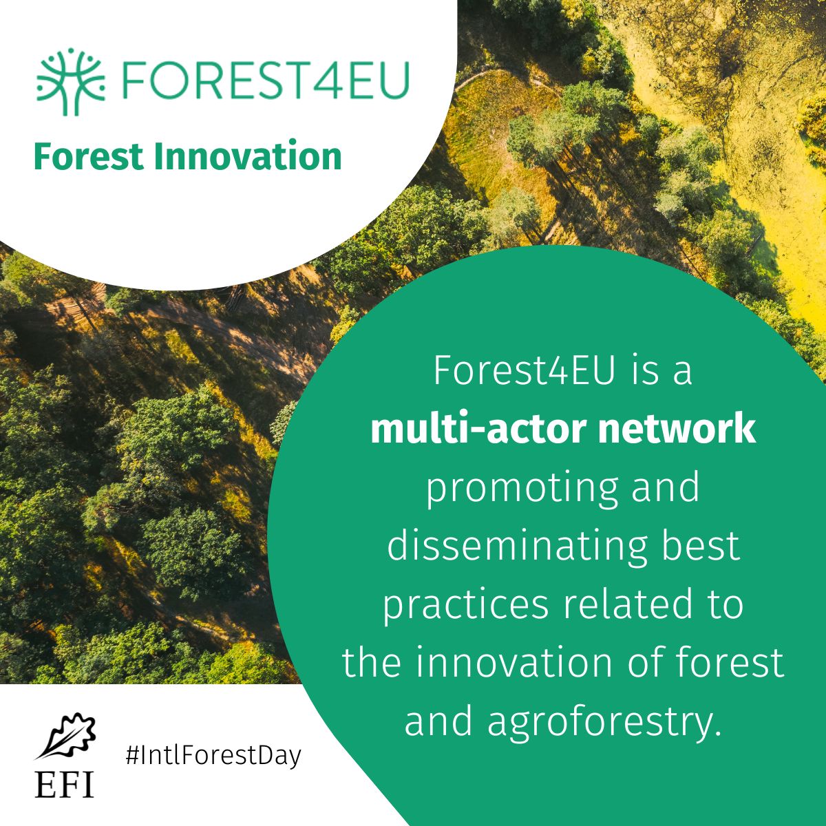 efimedfacility's tweet photo. Continue celebrating #IntlForestDay &amp; discovering #ForestInnovation with us!

#FOREST4EU is a multi-actor network promoting &amp; disseminating best practices related to the #innovation of national #forest &amp; #agroforestry across Europe 💡🌲

Find out more ➡️ https://t.co/Lv2GvFJV8Y https://t.co/ffD6HJPvjw