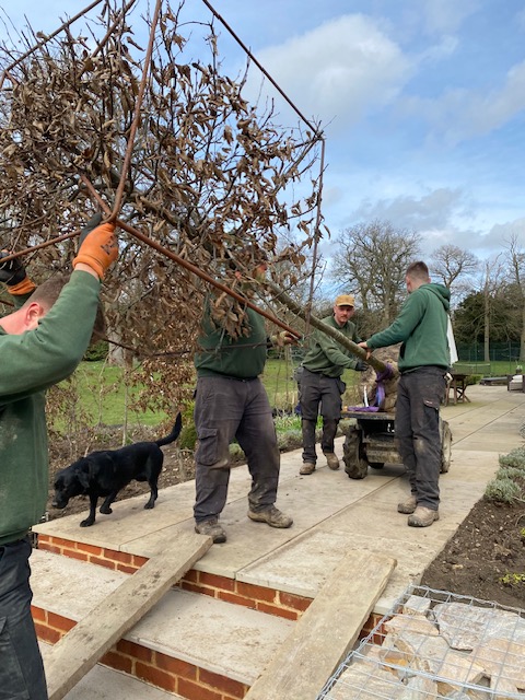 M&amp;N Horticulture have an experienced #planting team who provide optimum support for new #trees with staking &amp; ground anchoring systems

Learn more at mnhorticulture.com/gardening/semi… 

#horticulture #solutions #norfolk