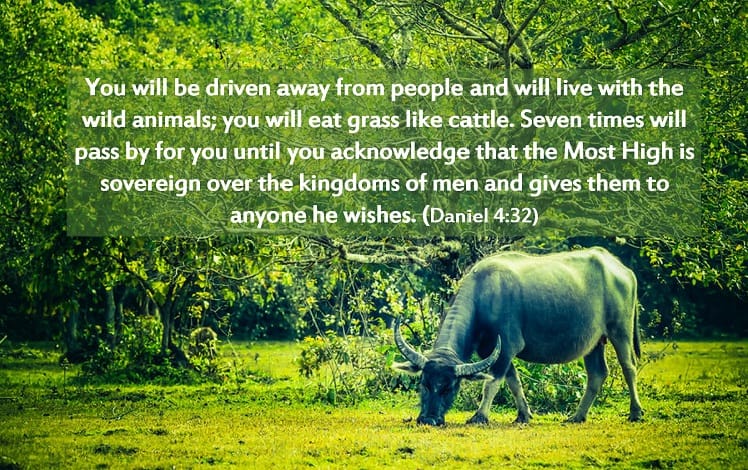RonKelleher's tweet image. Explore &apos;#130: The Higher You Climb, the Harder You Fall&apos; on our blog. Dive into the lessons learned from leaders&apos; rises and falls. 💡 #LeadershipBlog #HumilityMatters zurl.co/FFM5